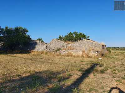 E attorno � un susseguirsi di sterpaglie che si sono impadronite del terreno incolto, intervallate da qualche ulivo solitario